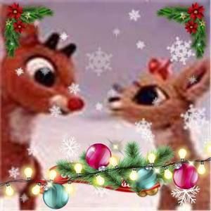 Meet your Posher, Sandy